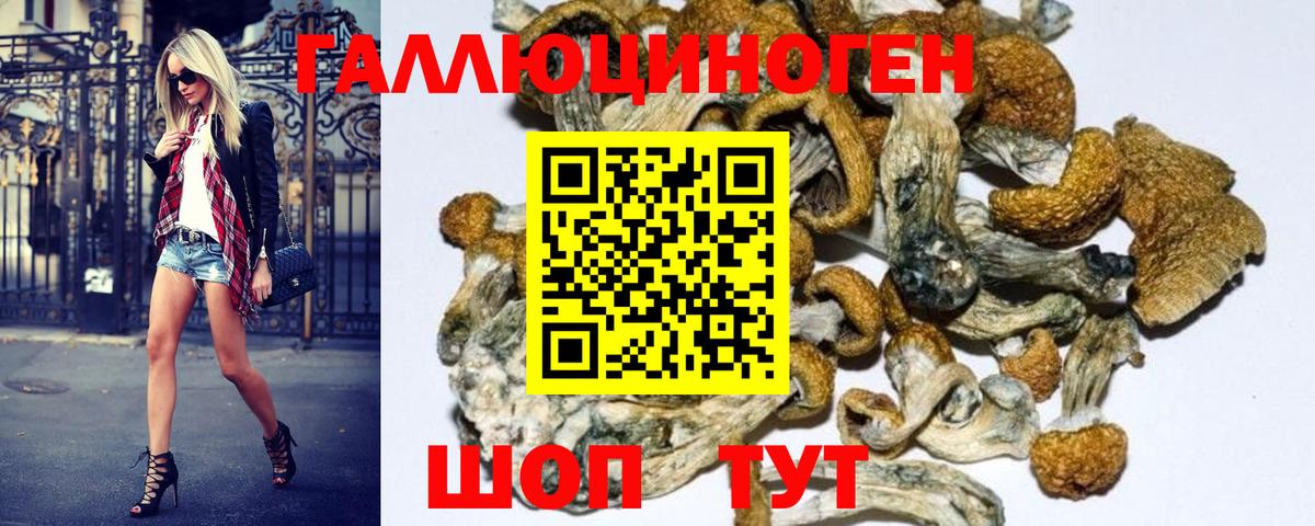 Похвистнево  Галлюциногенные грибы GOLDEN TEACHER  Вход с VPN 